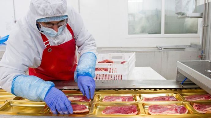 Si l’Autorité de la concurrence l’autorise, les activités canard gras d’Euralis et Maïsadour seront regroupées au sein d’une même filiale. © EURALIS